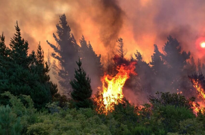  Incendio forestal en Río Negro y Chubut: las llamas llegaron a la zona urbana