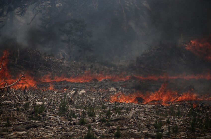  Incendios en la Patagonia afectan más de 1.300 hectáreas