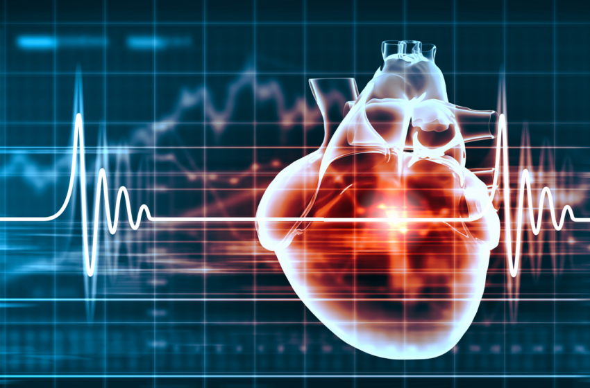  La Inteligencia Artificial como predictor de supervivencia en cirugía cardíaca